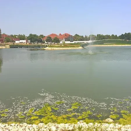 Panorama *