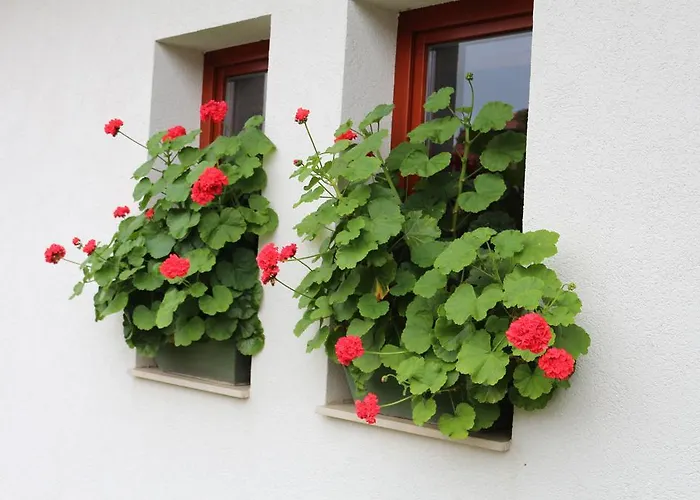 Panorama זלקרוס